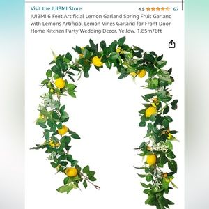 2 Pack Lemon Garland